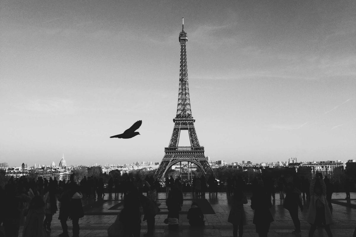 Kaleidoskop Gadget 2025: Persaingan Smartphone Premium, Comeback Merek Lama & Dominasi AI