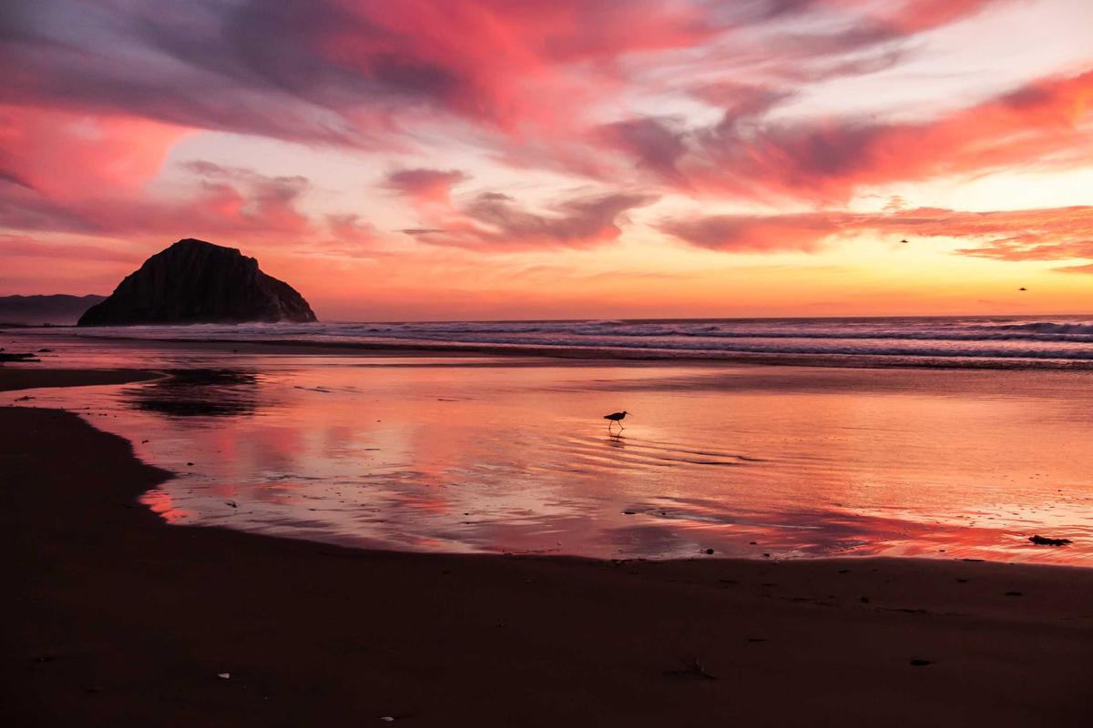 Kaleidoskop Gadget 2025: Persaingan Smartphone Premium, Comeback Merek Lama & Dominasi AI