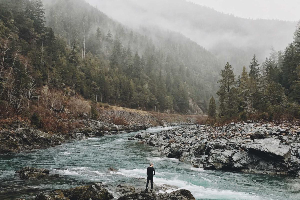 Kaleidoskop Gadget 2025: Persaingan Smartphone Premium, Comeback Merek Lama & Dominasi AI