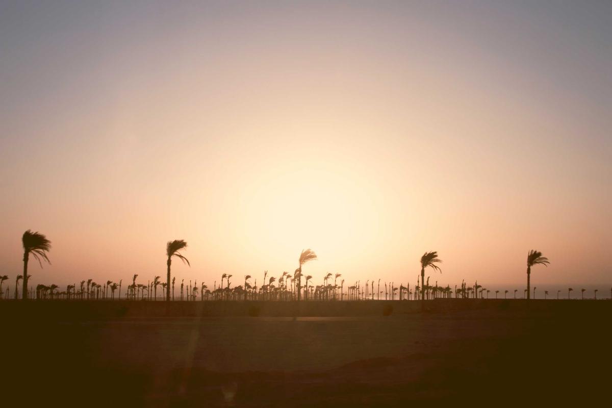 Kaleidoskop Gadget 2025: Persaingan Smartphone Premium, Comeback Merek Lama & Dominasi AI