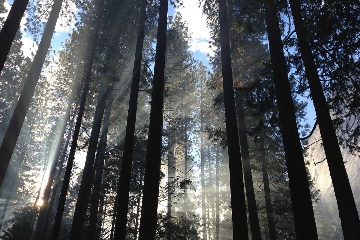 Kaleidoskop Gadget 2025: Persaingan Smartphone Premium, Comeback Merek Lama & Dominasi AI