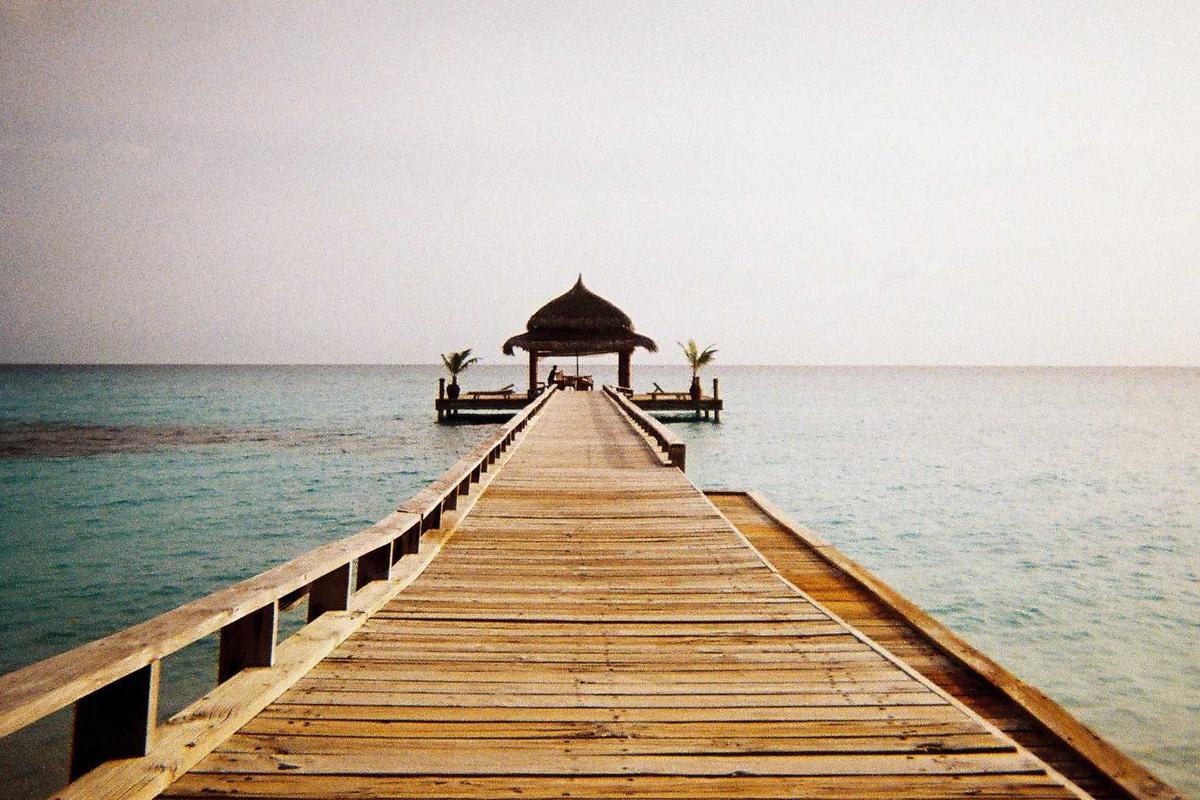 Kaleidoskop Gadget 2025: Persaingan Smartphone Premium, Comeback Merek Lama & Dominasi AI