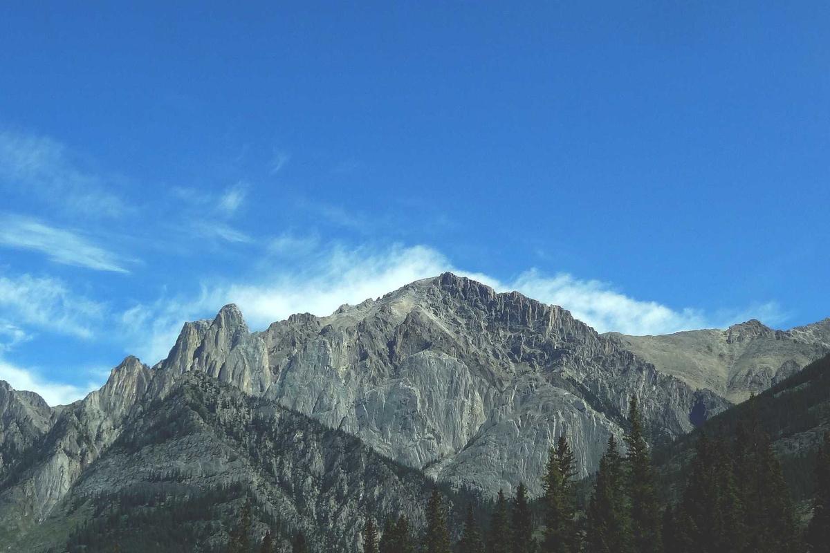 Kaleidoskop Gadget 2025: Persaingan Smartphone Premium, Comeback Merek Lama & Dominasi AI