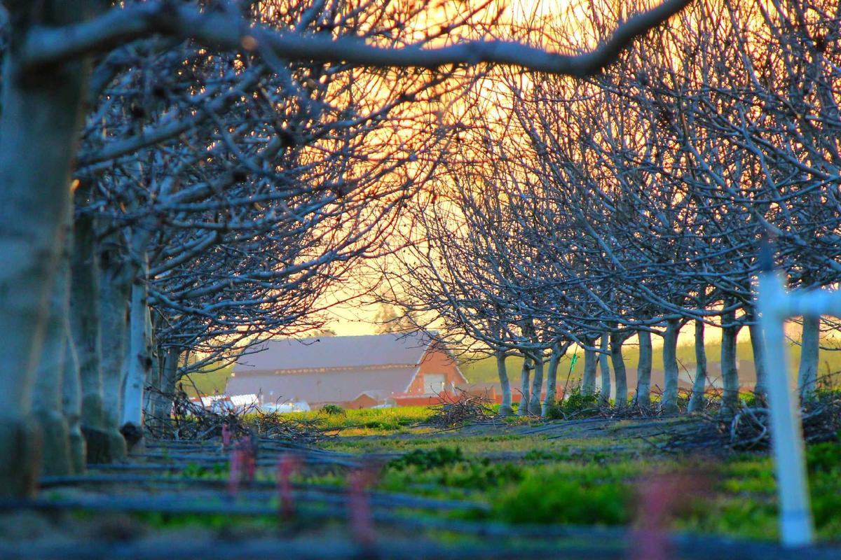 Kaleidoskop Gadget 2025: Persaingan Smartphone Premium, Comeback Merek Lama & Dominasi AI